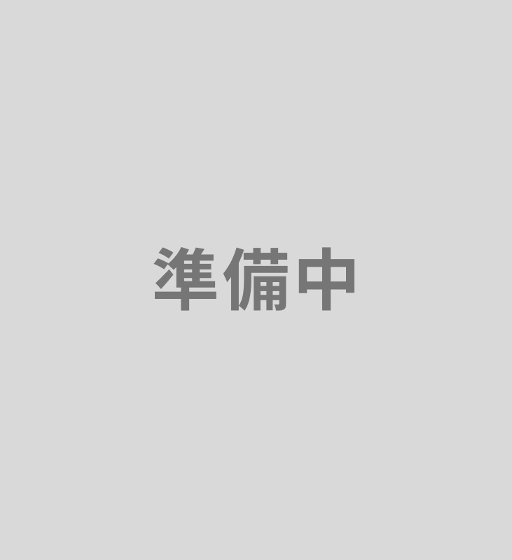歯面清掃装置 （エアフロー）